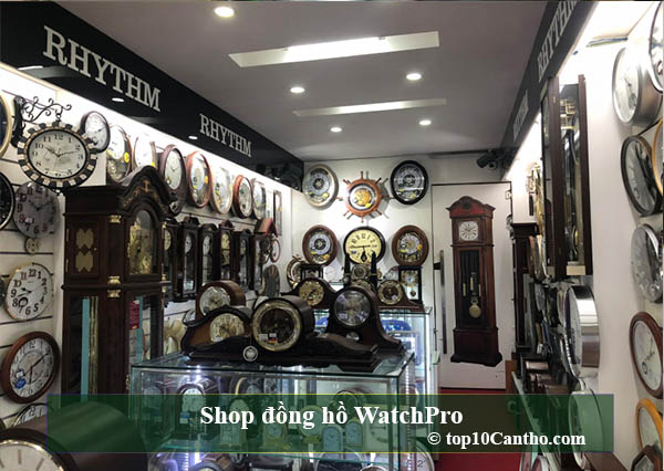 Shop đồng hồ WatchPro