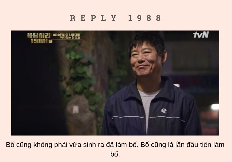 reply 1988 nội dung