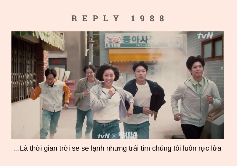reply 1988 quotes